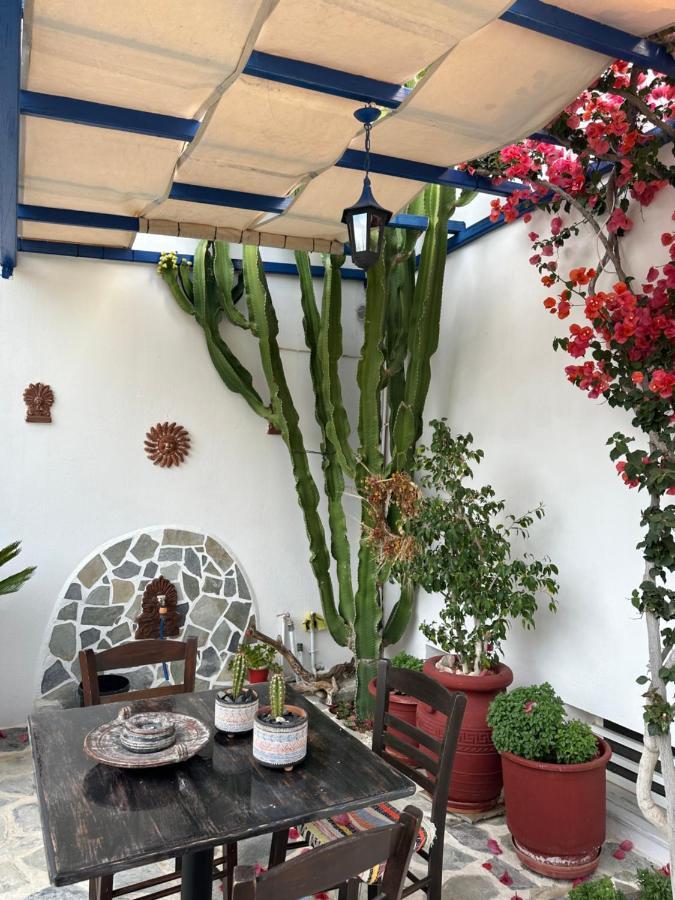 Αντωνία Διαμέρισμα Γαλησσάς Εξωτερικό φωτογραφία